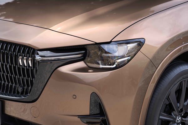 cx-80-melting-copper-insignia